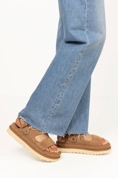 W Goldenstar Glide - Chestnut