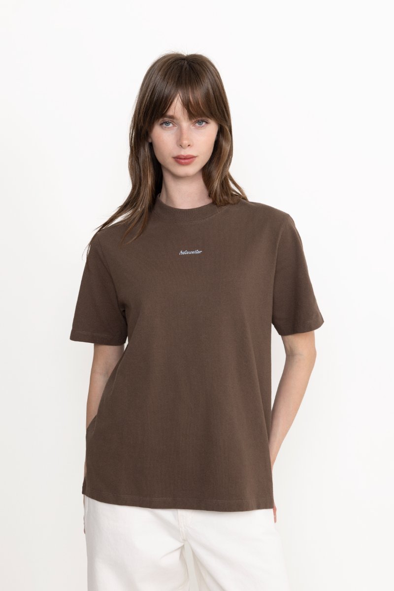 Kjerag National Tee - Brown