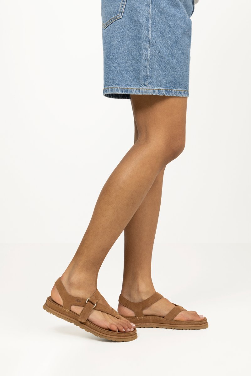 W Goldengaze Toe Pos - Chestnut