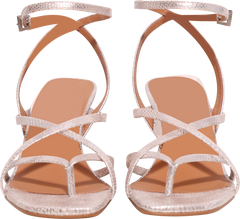 A9507 - Champagne Metallic