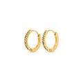 Nilea Crystal Hoop Earrings - Gold