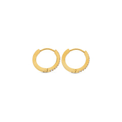 Nilea Crystal Hoop Earrings - Gold