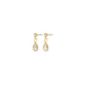 Roslyn Crystal Stud Earrings - Gold