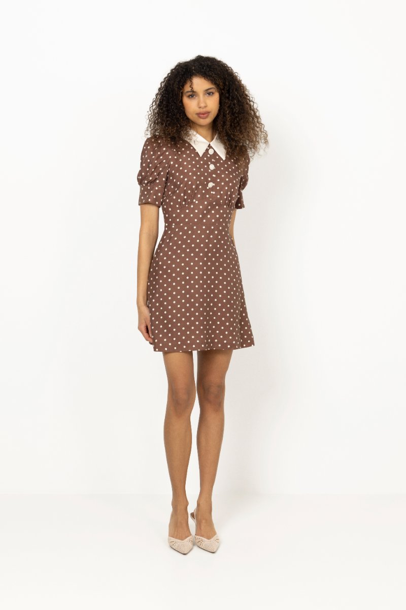 Beauty Dots - Dots Brown