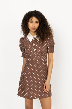 Beauty Dots - Dots Brown