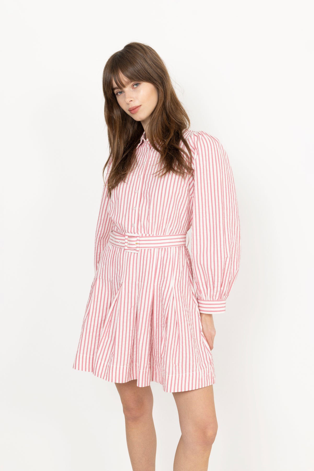 Seersucker Pleated Dress - Pink Stripe
