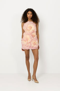 Johanna Mini Dress - Aurora