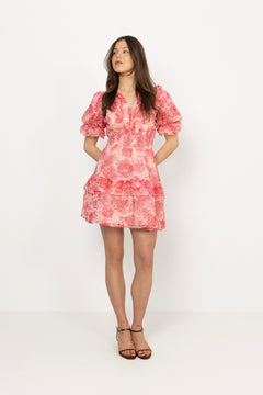 Nanni Dreamy Mini Dress - Pink