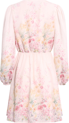 Maja Chiffon Mini Dress - Light Pink