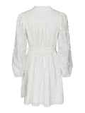 Monnie Embroidery Dress - White