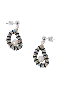 Tiny Oysters - Zebra
