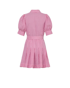 Seersucker Pleated Dress - Pink Checks