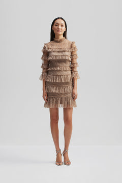 Carmine Frill Mini Lace Dress - Greige