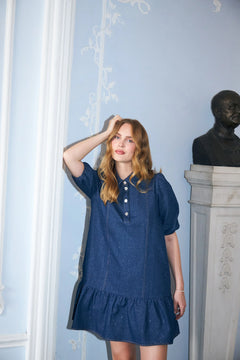 Elena Dress - Glitter Denim