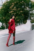Elna Bow Detailed Mini Dress - Deep Red