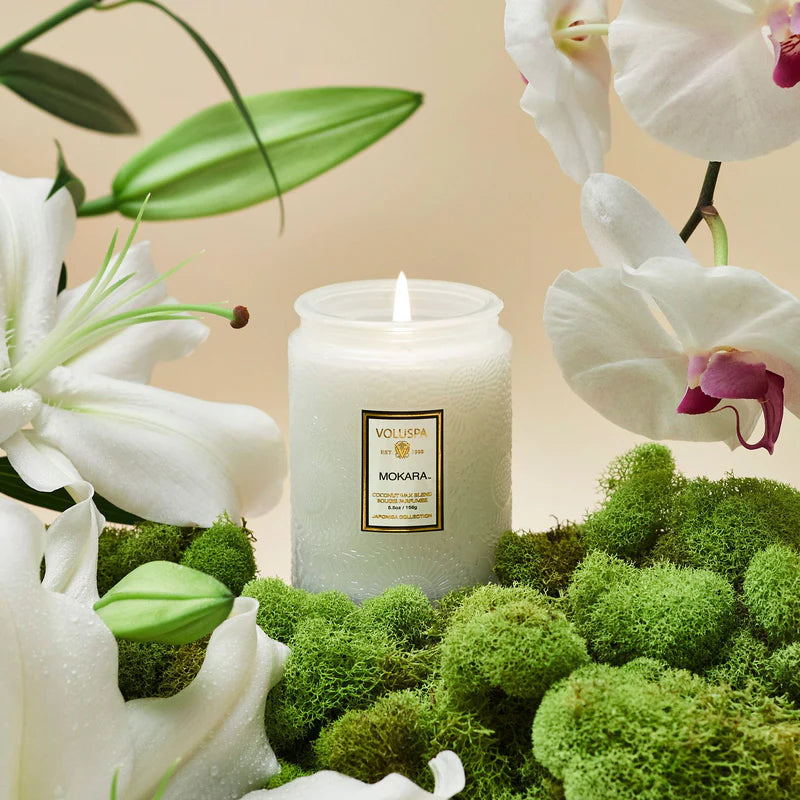 Small Jar Candle - Mokara Orchid