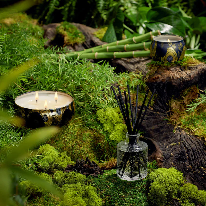 3 Wick Tin Candle - Moso Bamboo