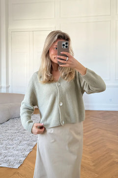 Vickyic Cardigan - Pistachio