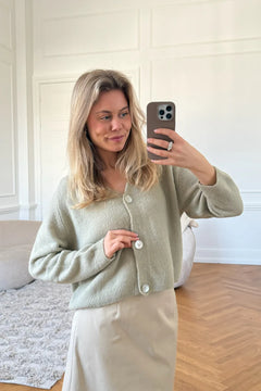 Vickyic Cardigan - Pistachio