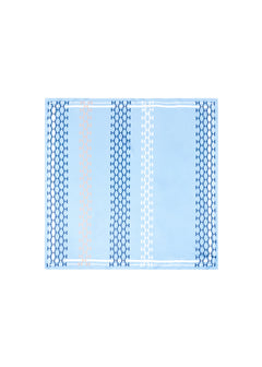 Isadora Silk Scarf Small - Skyway