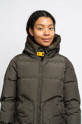Longbear Core - Taggia Olive