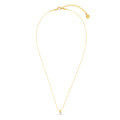 Fine Micro Pearl Collar Necklace - Gold