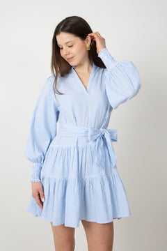 Delphine Stripe Dress - Blue Stripe