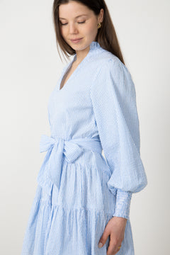 Delphine Stripe Dress - Blue Stripe