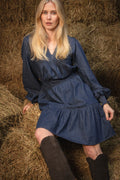 Evina Denim Solid Dress - Blue