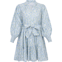Delphine Poplin Print Dress - Blue Garden
