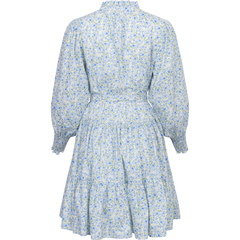 Delphine Poplin Print Dress - Blue Garden