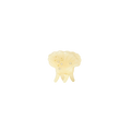 Pasha Hairclaw - Pear Sorbet