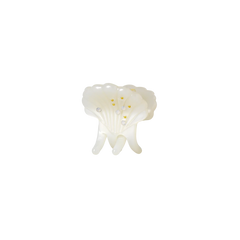 Pasha Hair Claw - Shell