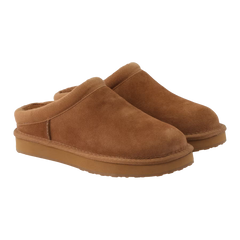 Cabot - Camel