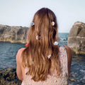 Rohi Hairclaw - Coastal
