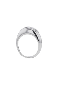 The Shiny - Silver