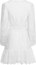 Lani Lace Mini Dress - White