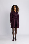 Iza Mini Dress - Burgundy