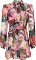 Organza Mini Dress - Winter Breeze