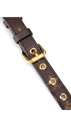 Louis Vuitton Pallas Shoulder Bag - Brown