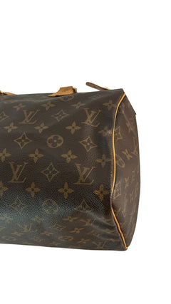 Louis Vuitton Speedy Bag 30 - Brown