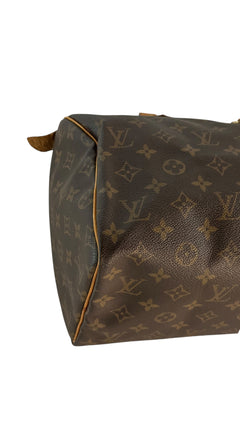 Louis Vuitton Speedy Bag 30 - Brown