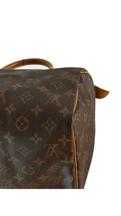 Louis Vuitton Speedy Bag 30 - Brown