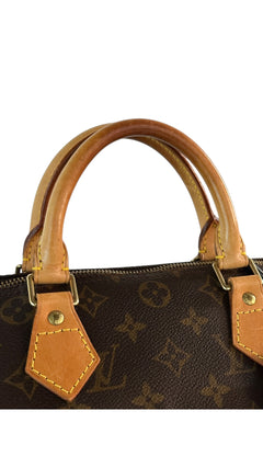 Louis Vuitton Speedy Bag 30 - Brown