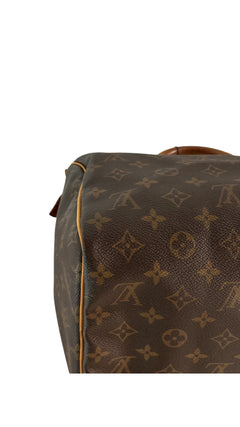 Louis Vuitton Speedy Bag 30 - Brown