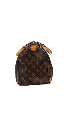 Louis Vuitton Speedy Bag 30 - Brown