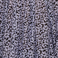 Ivon Retro Flower - Black