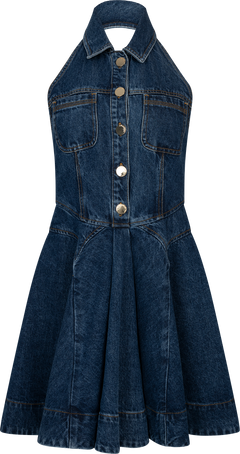 Sleeveless Flared Mini Dress - Denim