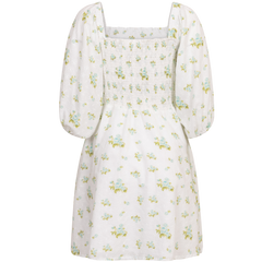 Michelle Dress - Mint Rose Print