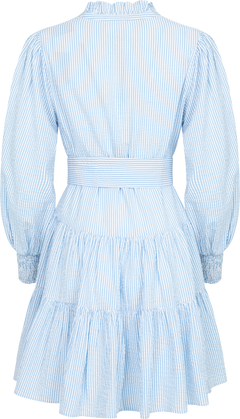 Delphine Stripe Dress - Blue Stripe